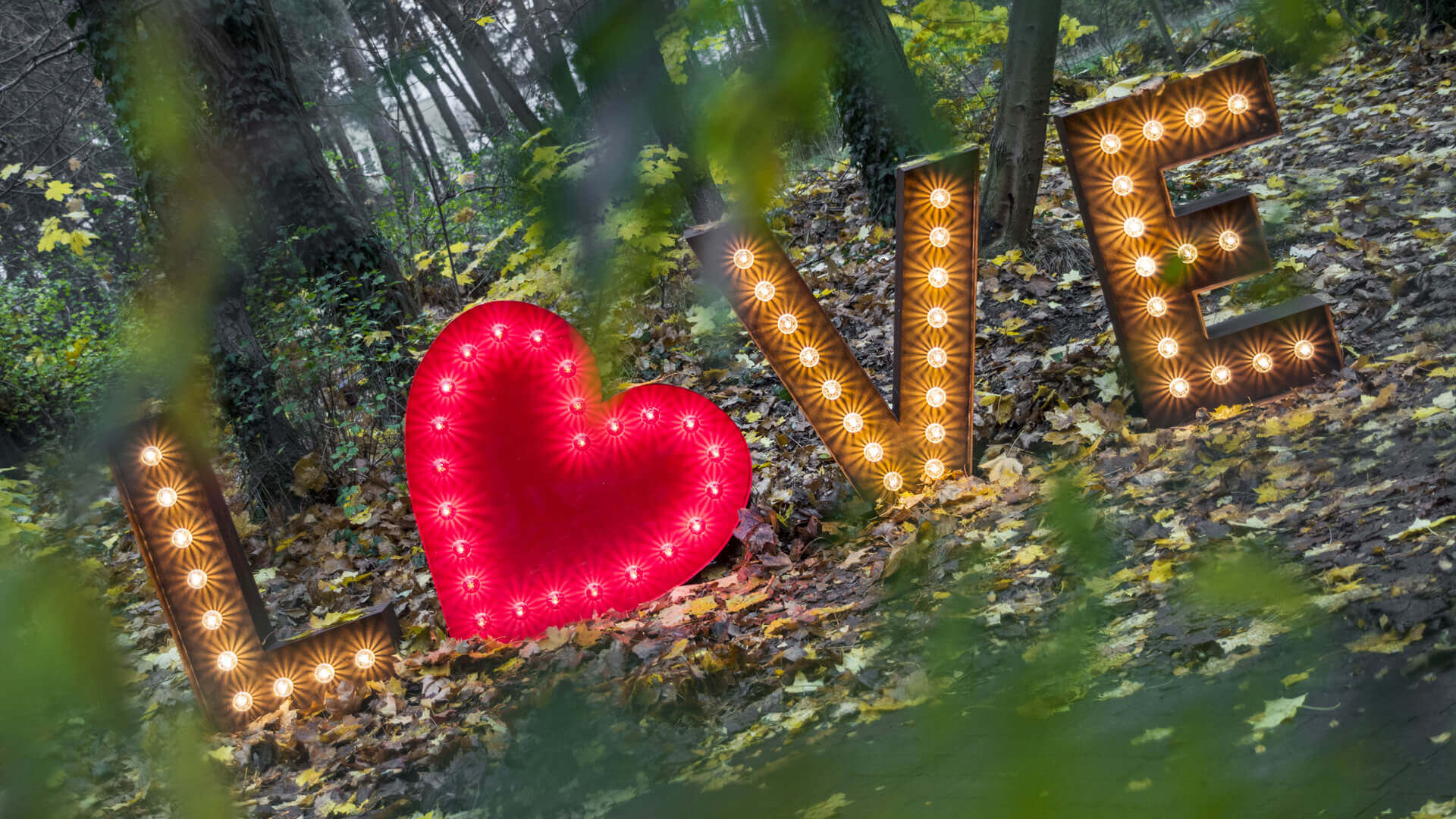 LOVE inscription composed of luminous letters